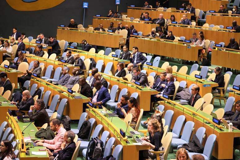 L 'Assemblea dell 'Onu © ANSA/AFP