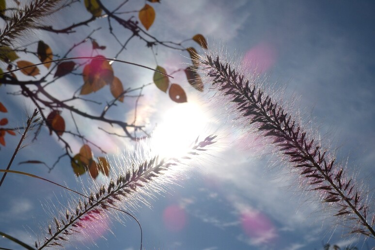 sole caldo ottobre (Fonte Pixabay Free) - RIPRODUZIONE RISERVATA