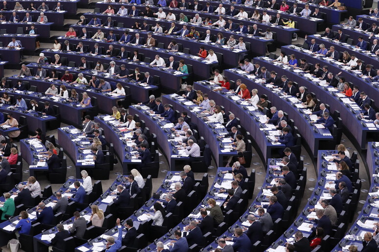 Il Parlamento europeo -     RIPRODUZIONE RISERVATA