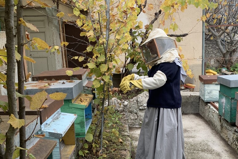 Una monaca di Santa Rita da Cascia con le api - RIPRODUZIONE RISERVATA