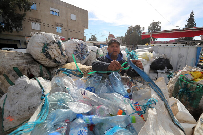 Raccolta della plastica in Tunisia © ANSA/EPA