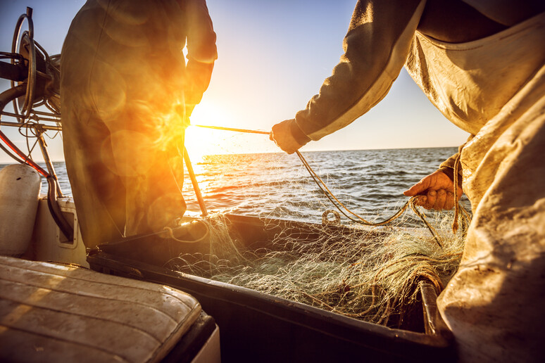 pescatore tira su le reti foto iStock. - RIPRODUZIONE RISERVATA