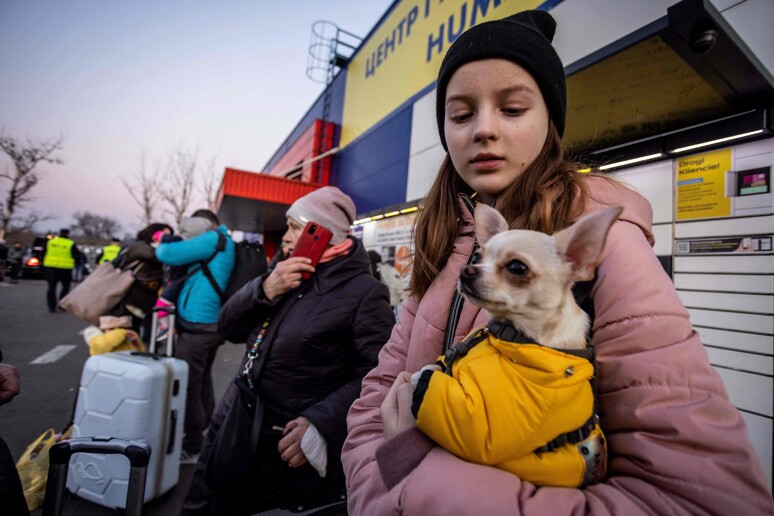 Rifugiati ucraini in Polonia © ANSA/AFP