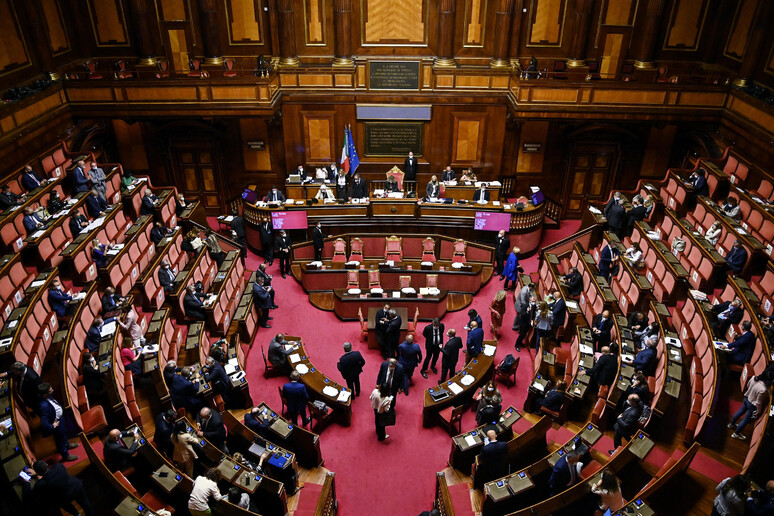 Aula del Senato in una foto d 'archivio - RIPRODUZIONE RISERVATA