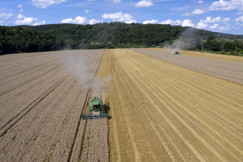 G7 Agricoltura: Fao, piano rapido contro crisi in Ucraina © ANSA/EPA