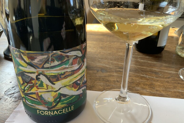Fornacelle: forte identità per vini che rispecchiano la qualità di Bolgheri - RIPRODUZIONE RISERVATA