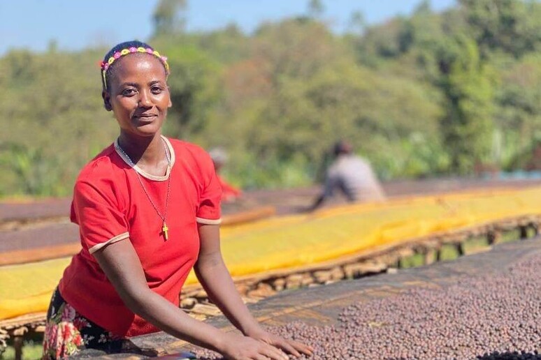 Women’s Coffee Project  - Meslech Tube Yako proprietaria e coltivatrice in Etiopia @ Mirabilia - RIPRODUZIONE RISERVATA