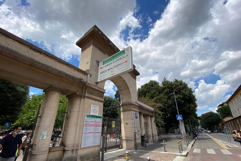 L 'ospedale Sant 'Orsola di Bologna - RIPRODUZIONE RISERVATA