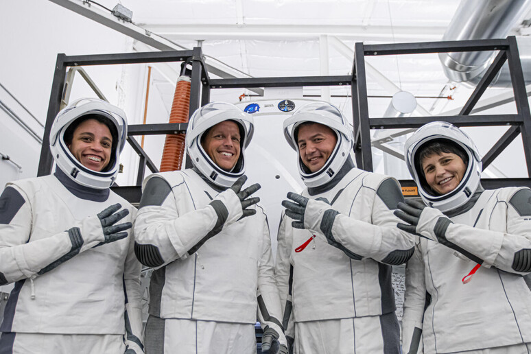 L 'equipaggio della missione Crew-4 (fonte: NASA) - RIPRODUZIONE RISERVATA
