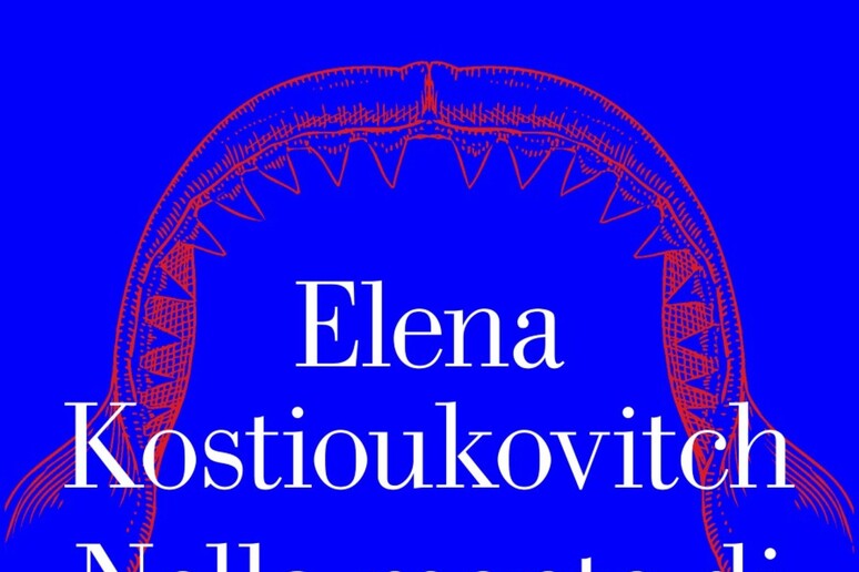 'Nella mente di Vladimir Putin ', esce ebook della Kostioukovitch - RIPRODUZIONE RISERVATA