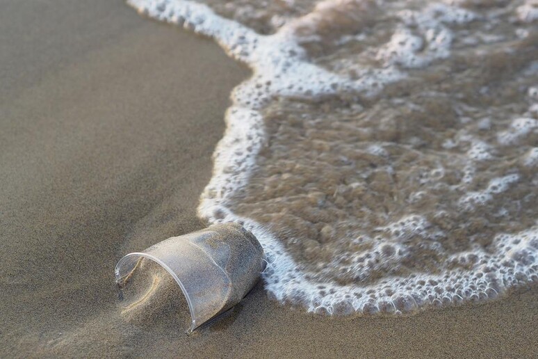 Le bioplastiche si degradano lentamente in mare e sulla sabbia (fonte: Pixabay) - RIPRODUZIONE RISERVATA