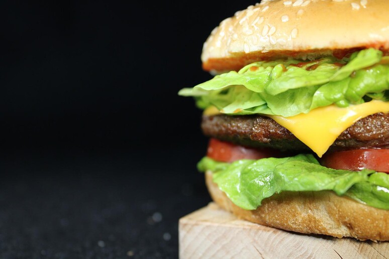 In arrivo l’hamburger salva-foreste, prodotto a partire da proteine di microrganismi come i funghi (fonte: Pixabay) - RIPRODUZIONE RISERVATA