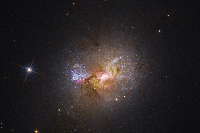 Il buco nero della galassia nana Henize 2-10 alimenta la nascita delle stelle (fonte: NASA, ESA, Zachary Schutte/XGI), Amy Reines/XGI, Alyssa Pagan/STScI) - RIPRODUZIONE RISERVATA