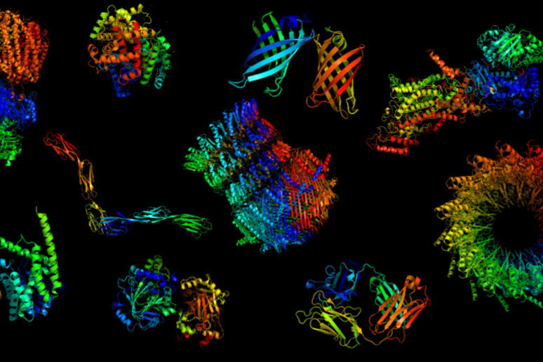 Rappresentazione grafica della struttura di proteine (fonte: Mohammed AlQuraishi) - RIPRODUZIONE RISERVATA