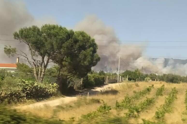 Incendi: fiamme nell 'Oristanese - RIPRODUZIONE RISERVATA
