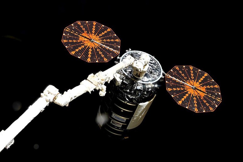 La navetta Cygnus pronta a lasciare la Stazione spaziale (fonte: S. Cristoforetti, Twitter) - RIPRODUZIONE RISERVATA