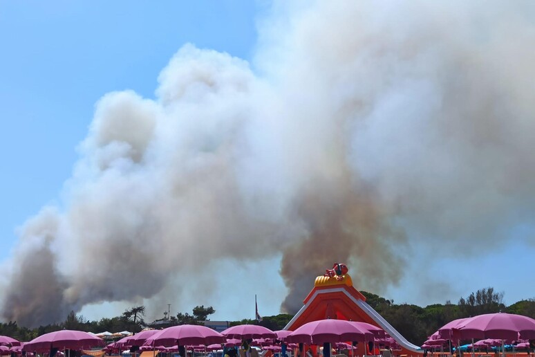 Incendi: fuoco e colonne fumo in zona boschiva di Bibione - RIPRODUZIONE RISERVATA