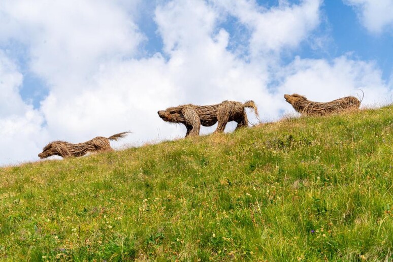 Landart in Val di Fassa, prendono forma cinque lupi in legno - RIPRODUZIONE RISERVATA