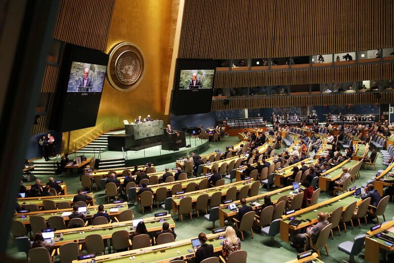 Decima conferenza del Trattato di non proliferazione delle armi nucleari © ANSA/AFP