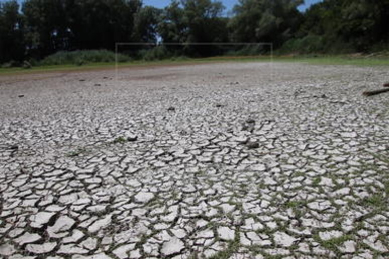 L 'Umbria alle prese con la siccità - RIPRODUZIONE RISERVATA