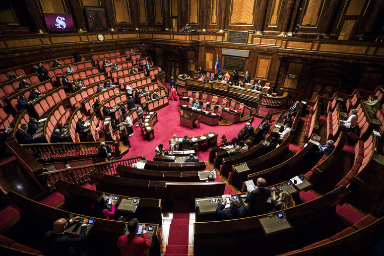 L 'Aula del Senato in una recente immagine - RIPRODUZIONE RISERVATA