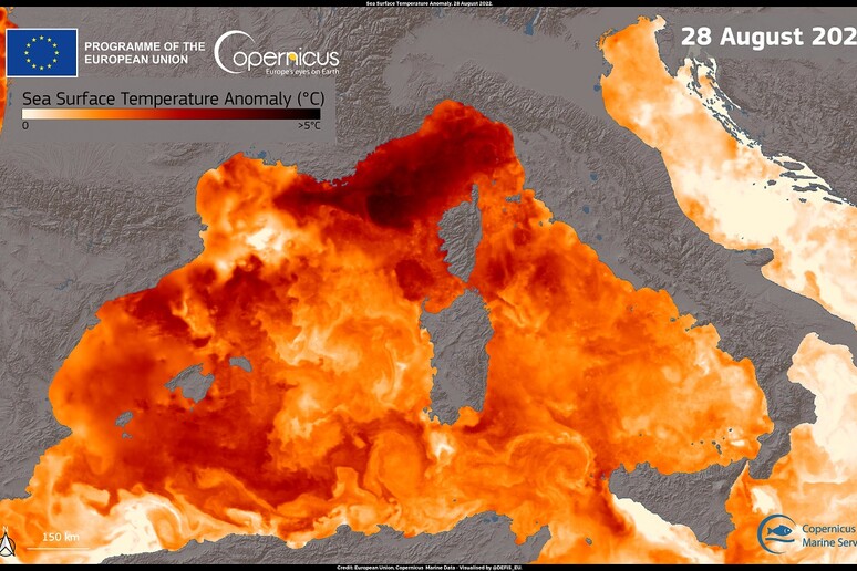 Lieve calo della temperatura del Mediterraneo a fine agosto (fonte: UE, Copernicus Marine Service data) - RIPRODUZIONE RISERVATA