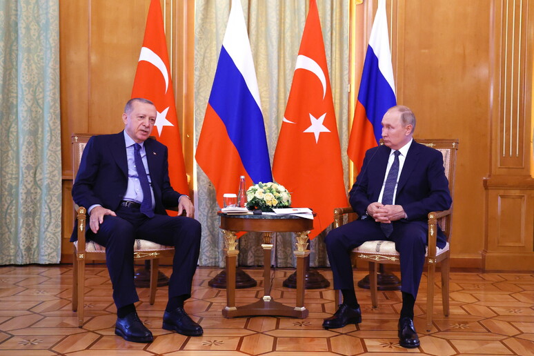 Erdogan propone a Putin incontro con Zelensky in Turchia - Ultima ora -  Ansa.it