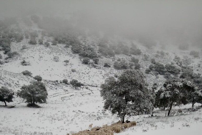 Maltempo: neve anche su coste Gallura, Tavolara imbiancata - RIPRODUZIONE RISERVATA