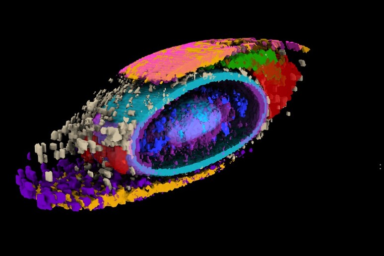 Il ritratto in 3D di una cellula che evidenzia la posizione di 17 strutture interne (fonte: Allen Institute fo Cell Science) - RIPRODUZIONE RISERVATA