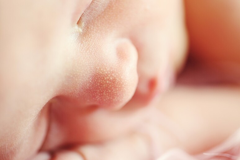 Il cervello dei neonati potrebbe essere in grado di fare esperienze coscienti (fonte: Pixabay) - RIPRODUZIONE RISERVATA