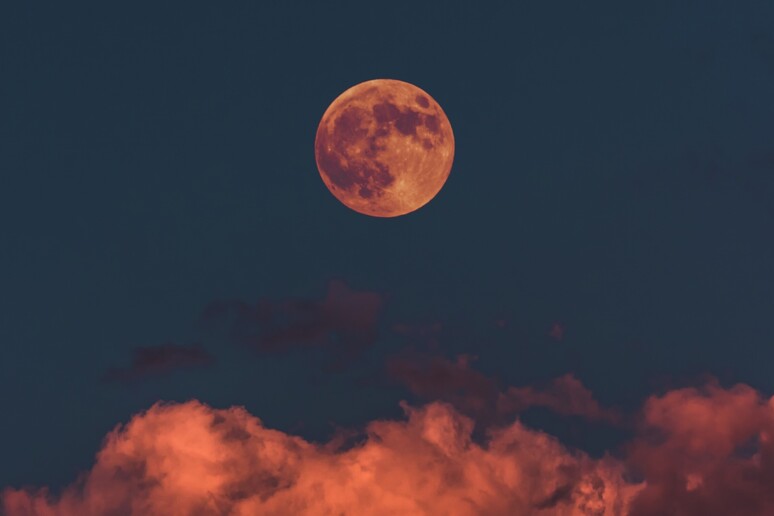 La notte fra il 21 e il 22 ottobre è dedicata alla Luna (fonte: Unsplash) - RIPRODUZIONE RISERVATA