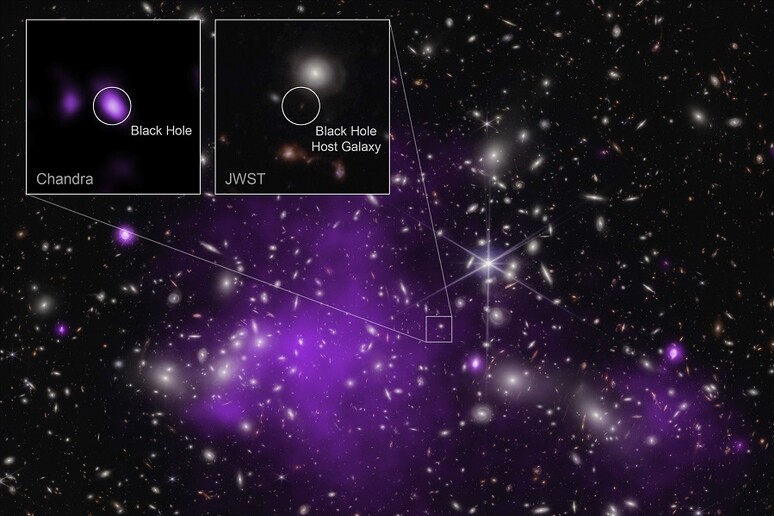 Scoperto il buco nero più distante mai visto ai raggi X (fonte: NASA/CXC/SAO/Ákos Bogdán/ESA/CSA/STScI/L. Frattare &amp; K. Arcand) - RIPRODUZIONE RISERVATA