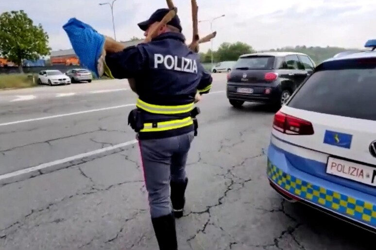 Polizia stradale,  'oltre 38mila veicoli fermati in 4 giorni ' -     RIPRODUZIONE RISERVATA