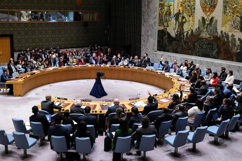 Consiglio di Sicurezza dell 'Onu © ANSA/AFP