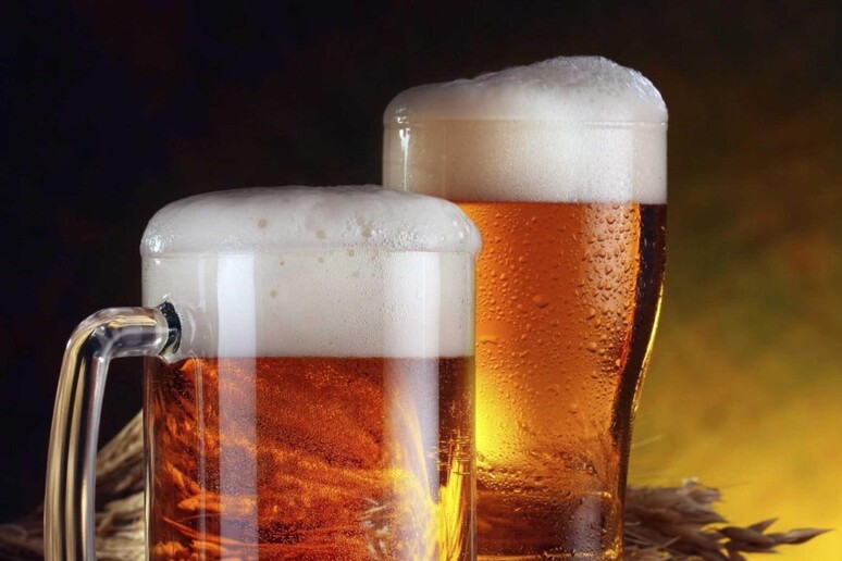 Due boccali di birra in una immagine di archivio - RIPRODUZIONE RISERVATA