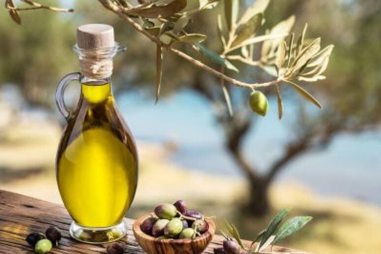 Olio d 'oliva, 4 italiani su 10 lo acquistano nella Gdo -     RIPRODUZIONE RISERVATA