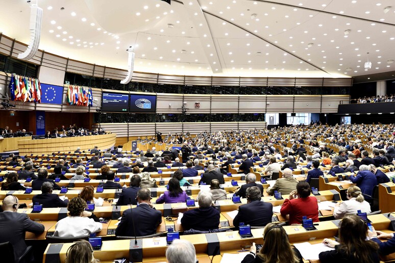 Il Parlamento europeo © ANSA/AFP