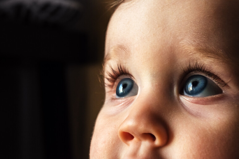 l 'App oculista che fa le diagnosi ai bimbi molto piccoli - RIPRODUZIONE RISERVATA