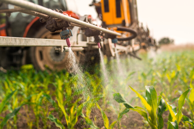 Il Parlamento Europeo respinge la riforma sui pesticidi, il testo torna al Consiglio - RIPRODUZIONE RISERVATA