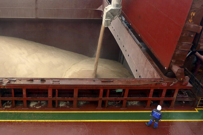 Operazioni di carico del grano © ANSA/EPA