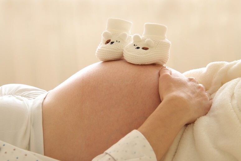 Covid: studio,con vaccino in gravidanza meno rischi alla nascita (fonte: Pixabay) - RIPRODUZIONE RISERVATA