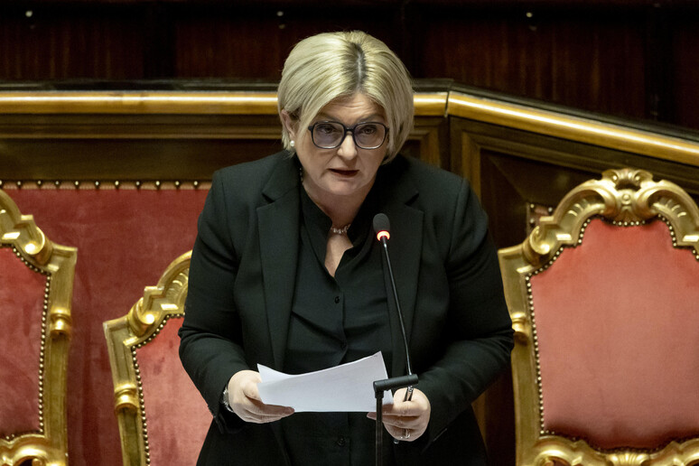 Il Ministro del Lavoro e delle Politiche Sociali, Marina Calderone - RIPRODUZIONE RISERVATA