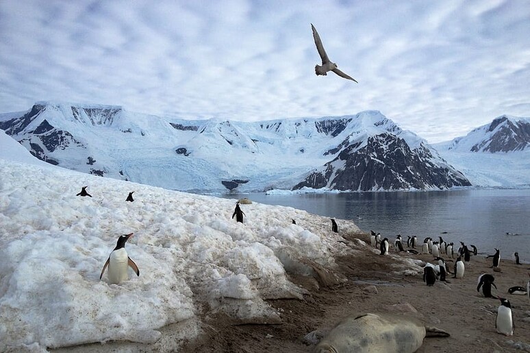 Documentata anche in Antartide l 'emissione di CO2 dallo scioglimento del permafrost (fonte: Pxfuel) - RIPRODUZIONE RISERVATA