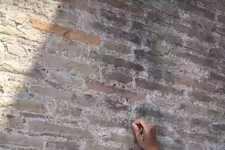 Un frame del video in cui il turista sfregia il Colosseo - RIPRODUZIONE RISERVATA