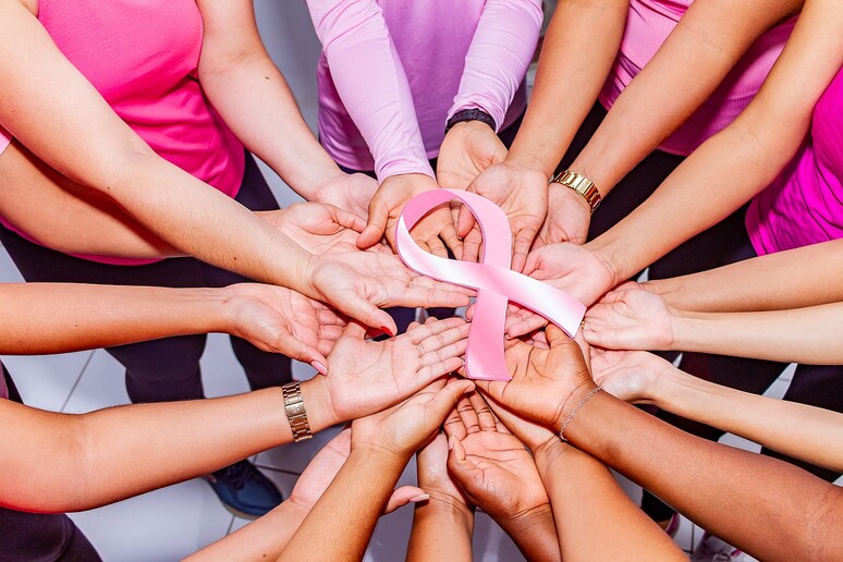 L’atlante delle cellule del seno aiuterà la lotta al cancro (fonte: Pixabay) - RIPRODUZIONE RISERVATA