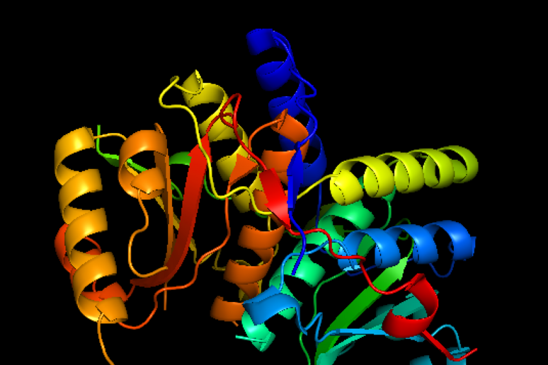 La struttura di una proteina (fonte: NikkiYost, da Wikipedia) - RIPRODUZIONE RISERVATA