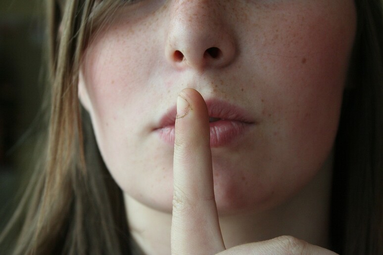 Il silenzio può essere percepito al pari dei suoni (fonte: Pixabay) - RIPRODUZIONE RISERVATA