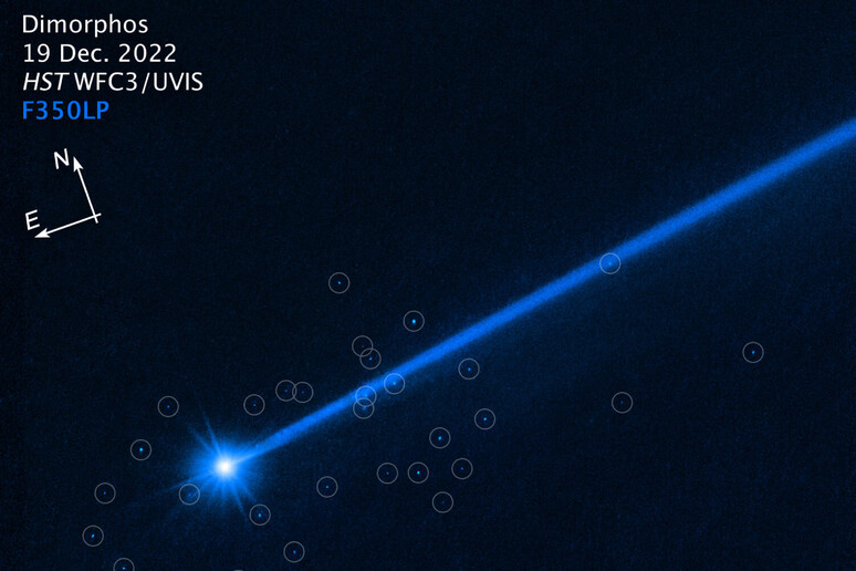 Fammenti dell 'asteroide Dimorphos visti dal telescopio  Hubble (fonte: NASA, ESA, D. Jewitt /UCLA) - RIPRODUZIONE RISERVATA