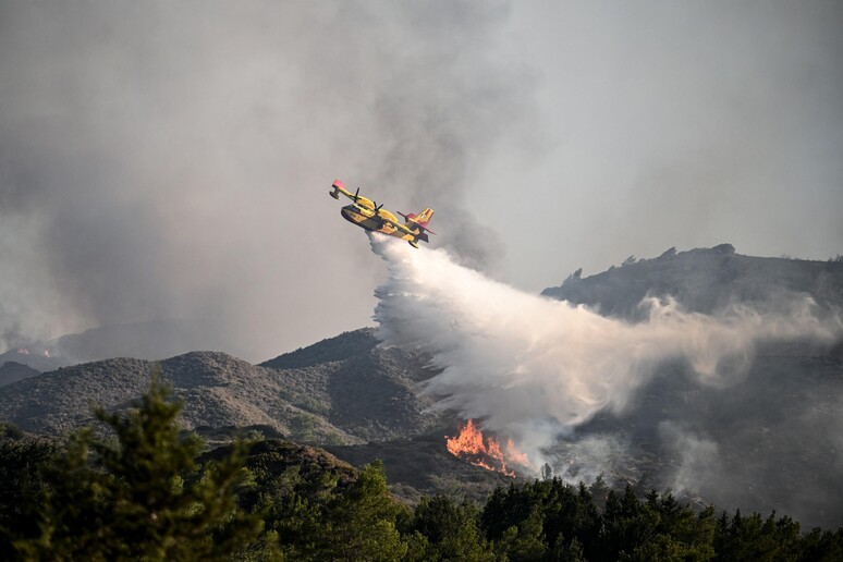 Incendi © ANSA/AFP