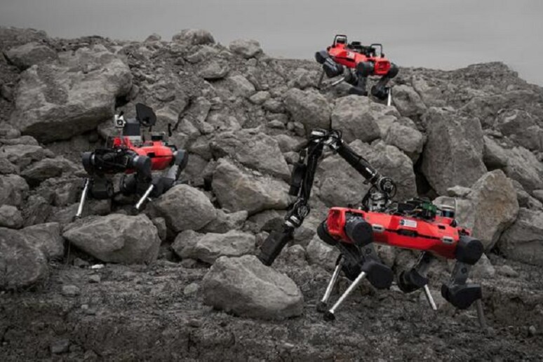 La squadra di tre astro-robot che potrebbe andare in missione sulla Luna (fonte: ETH Zurich / Takahiro Miki) - RIPRODUZIONE RISERVATA